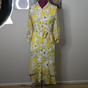 Lilly Banana Republic Button Down Dress